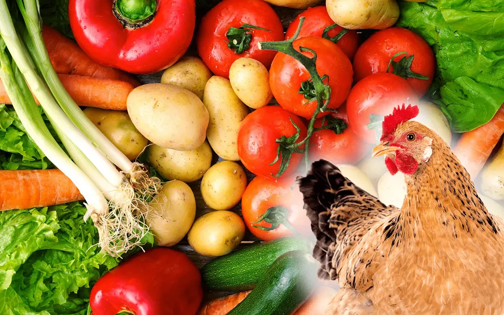 Овощи для кур